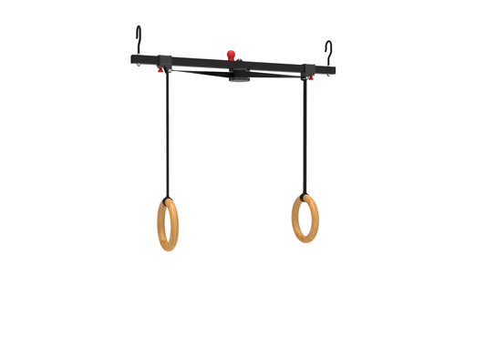 Level Rings