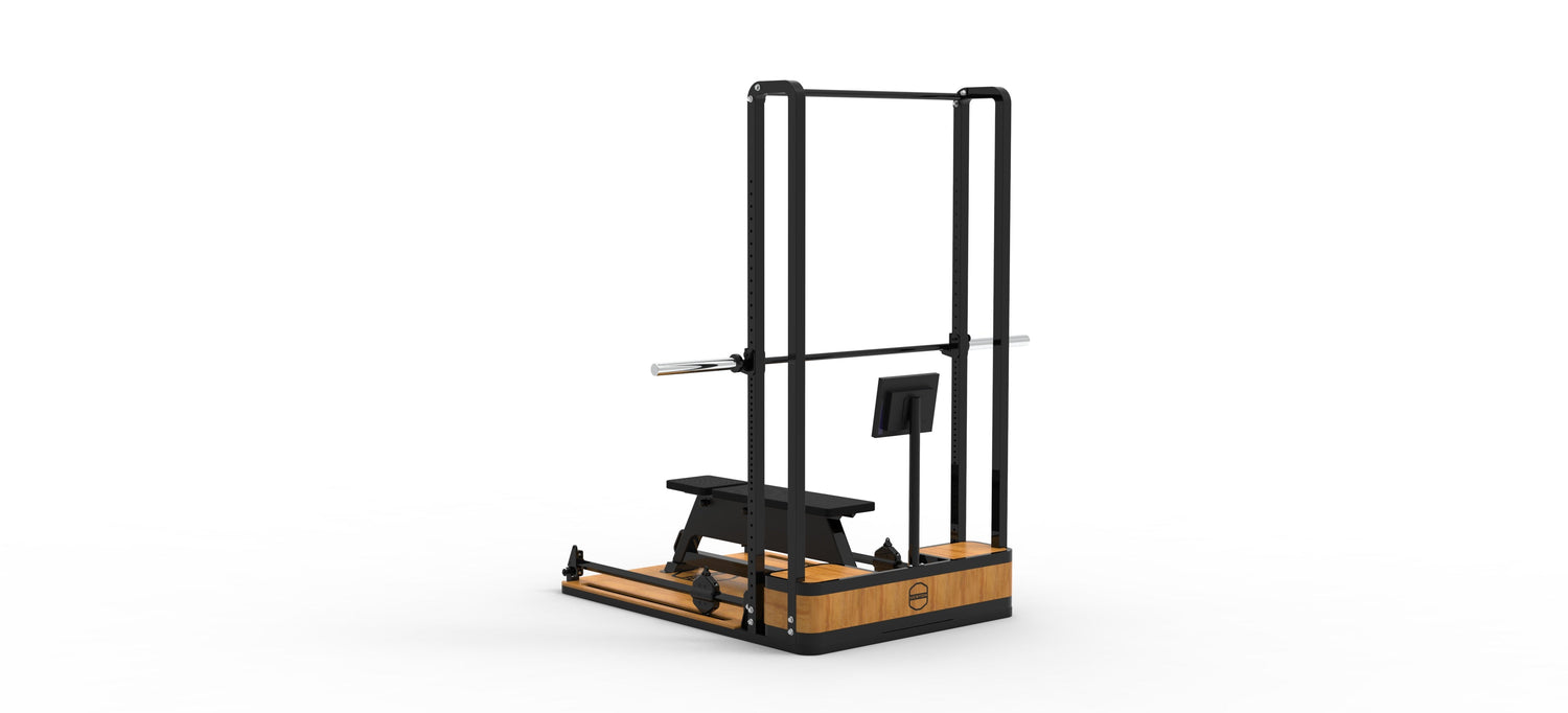 The Newton