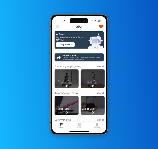 Annual App Subscription